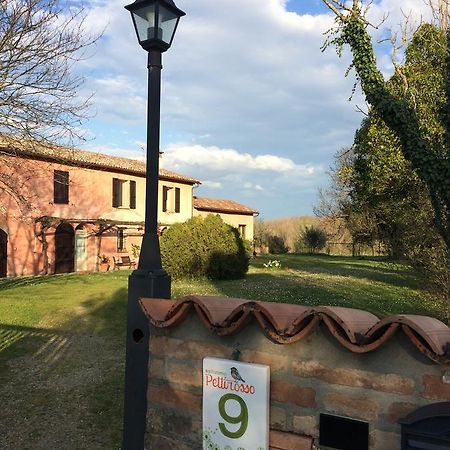 Agriturismo Il Pettirosso Guest House Forli Exterior photo